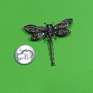 Pretty dragon fly broach
